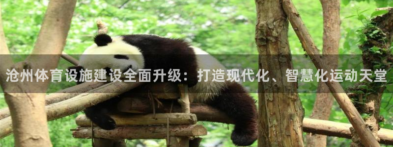 意昂体育4联系电话：沧州体育设施建设全面升级：打造现