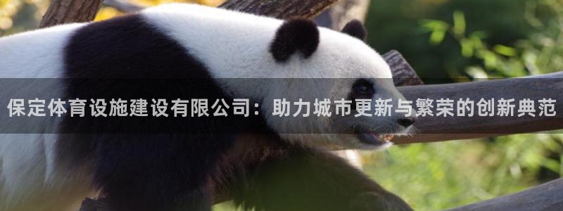 意昂体育4招商电话号码是多少号：保定体育设施建设有限
