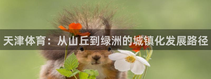 意昂体育4招商电话是多少号码：天津体育：从山丘到绿洲