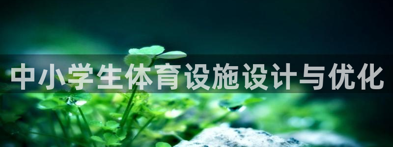 意昂体育4平台注册要钱吗：中小学生体育设施设计与优化