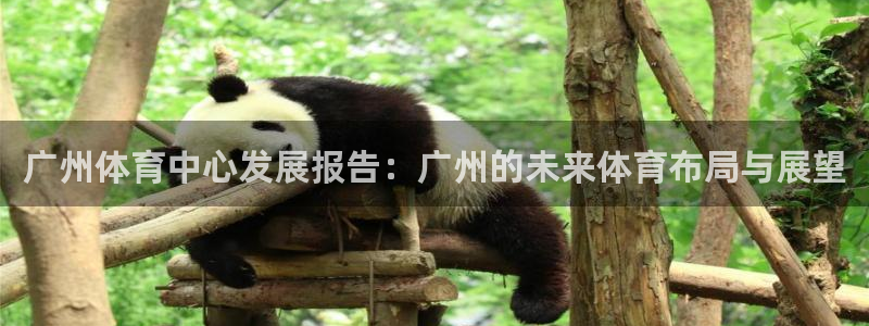 意昂4娱乐平台：广州体育中心发展报告：广州的未来体育