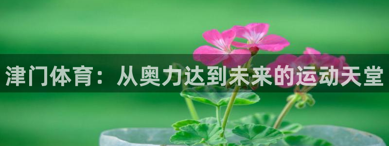 意昂体育4招商电话号码查询：津门体育：从奥力达到未来
