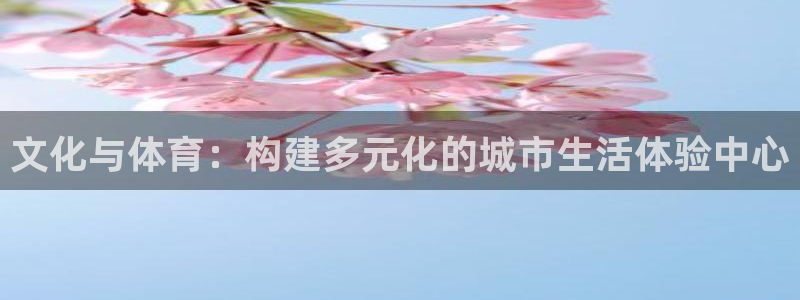 意昂4娱乐平台：文化与体育：构建多元化的城市生活体验