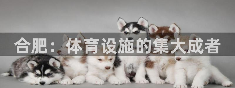 意昂4娱乐首页网站大全：合肥：体育设施的集大成者