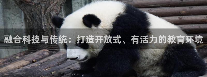 意昂4五金厂：融合科技与传统：打造开放式、有活力的教