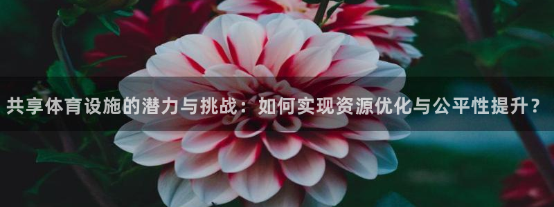 意昂体育4招商：共享体育设施的潜力与挑战：如何实现资