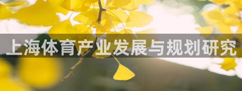 意昂4代理：上海体育产业发展与规划研究