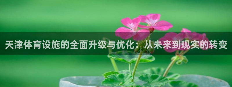 德国意昂4集团