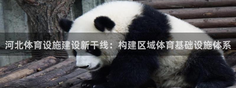 意昂4娱乐40996：河北体育设施建设新干线：构建区