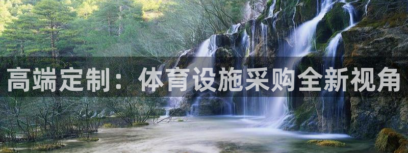 意昂4集团E.ON：高端定制：体育设施采购全新视角