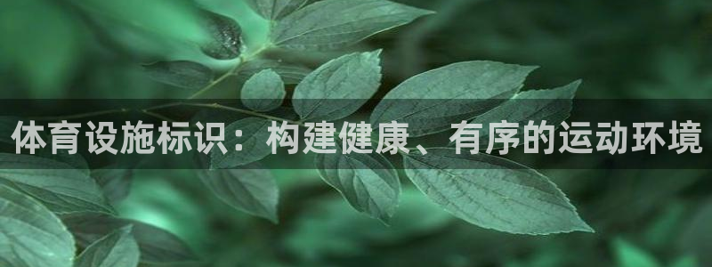 意昂4集团E.ON：体育设施标识：构建健康、有序的运