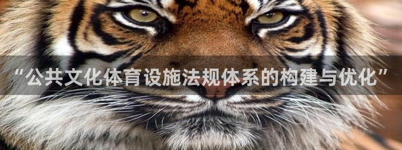 意昂体育4平台是正规平台吗安全吗：“公共文化体育设施