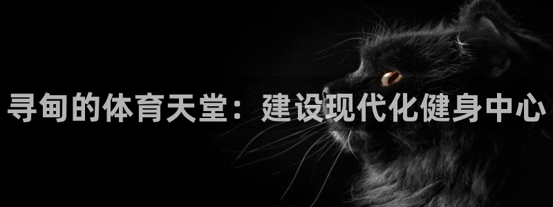 意昂4代理：寻甸的体育天堂：建设现代化健身中心