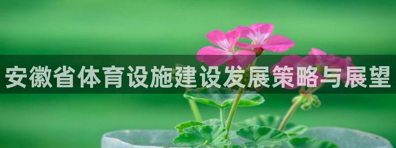 意昂4集团logo：安徽省体育设施建设发展策略与展望