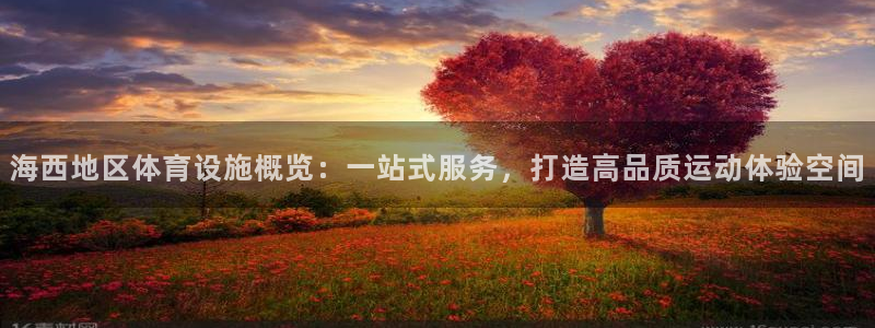 意昂4官方：海西地区体育设施概览：一站式服务，打造高