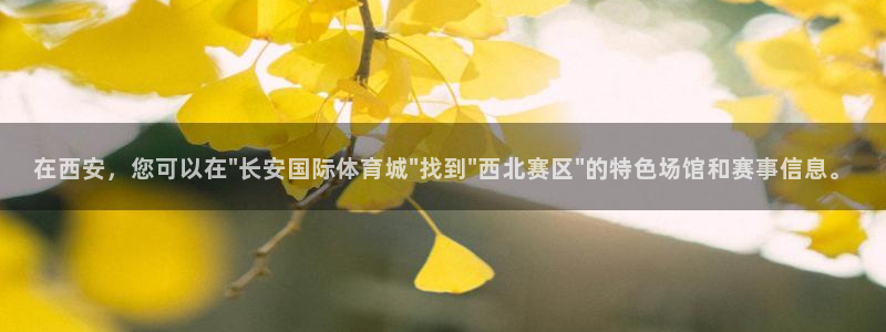 意昂体育4招商电话是多少：在西安，您可以在\