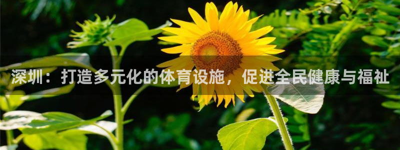意昂体育4平台假的吗是真的吗：深圳：打造多元化的体育