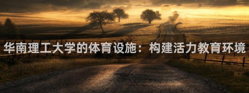 意昂体育4是干嘛的公司：华南理工大学的体育设施：构建