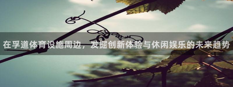 意昂体育4联系电话：在孚道体育设施周边，发掘创新体验