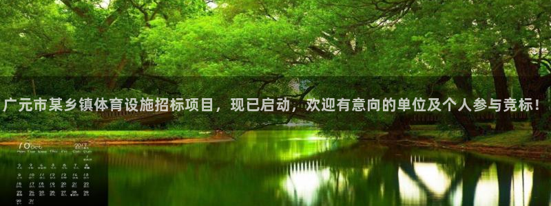意昂体育4招商电话地址：广元市某乡镇体育设施招标项目