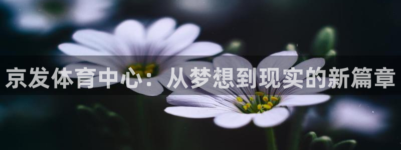 意昂集团官网：京发体育中心：从梦想到现实的新篇章