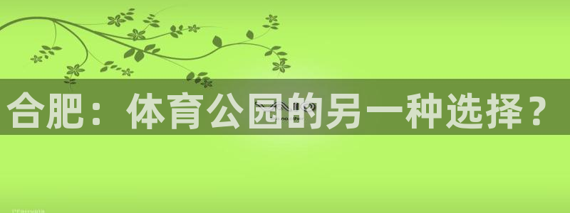德国意昂4集团：合肥：体育公园的另一种选择？