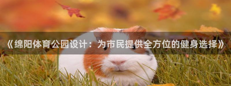 意昂体育4招商电话号码是多少：《绵阳体育公园设计：为