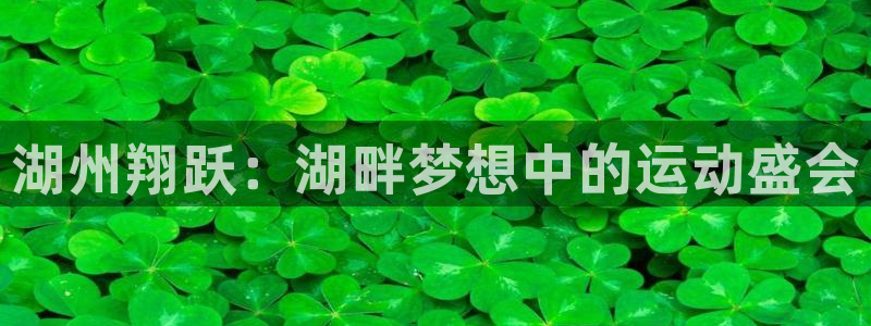 意昂体育4平台APP：湖州翔跃：湖畔梦想中的运动盛会