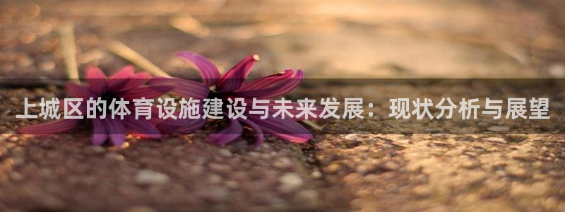 意昂4娱乐首页网站大全：上城区的体育设施建设与未来发
