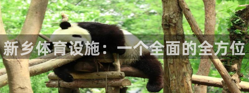 海南意昂体育4：新乡体育设施：一个全面的全方位