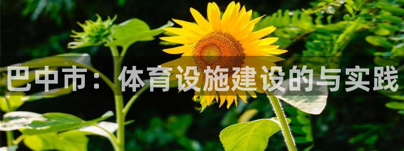 意昂体育4招商电话地址查询：巴中市：体育设施建设的与实践 