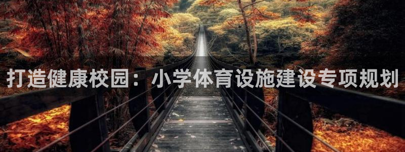 意昂体育4官方客服电话：打造健康校园：小学体育设施建设专项规