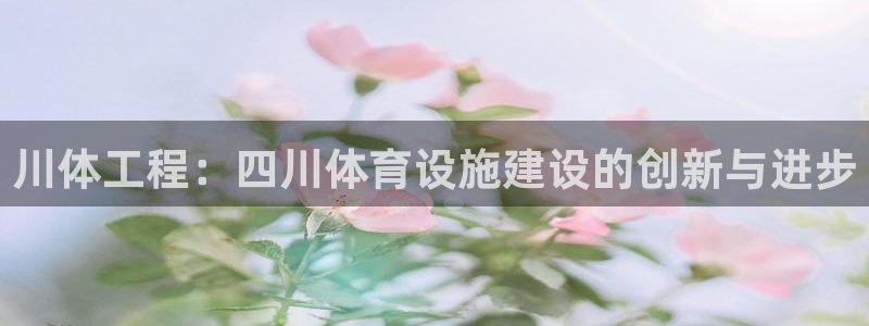 意昂4五金厂：川体工程：四川体育设施建设的创新与进步