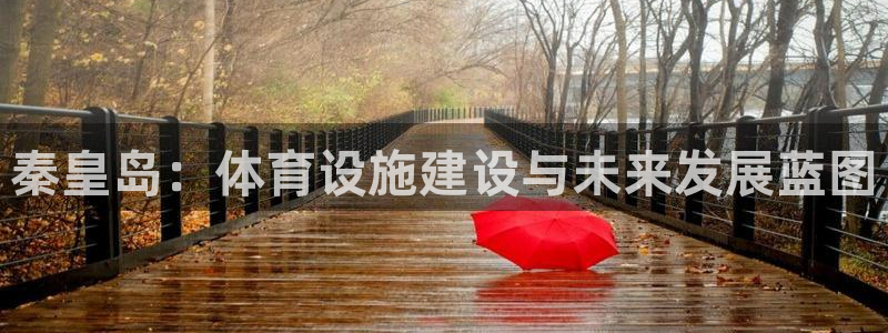 意昂体育4平台注册流程视频：秦皇岛：体育设施建设与未