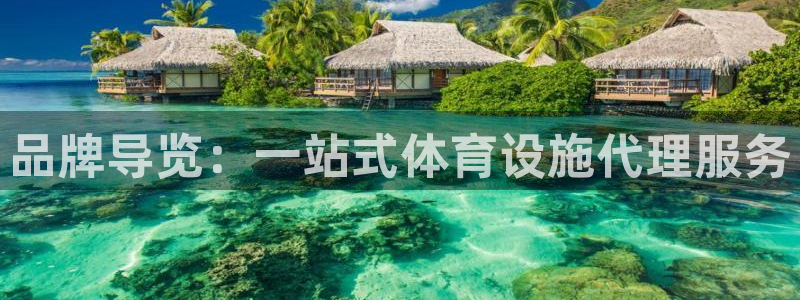 意昂4娱乐：品牌导览：一站式体育设施代理服务
