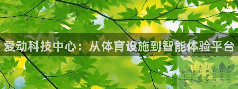 意昂4娱乐40996：爱动科技中心：从体育设施到智能