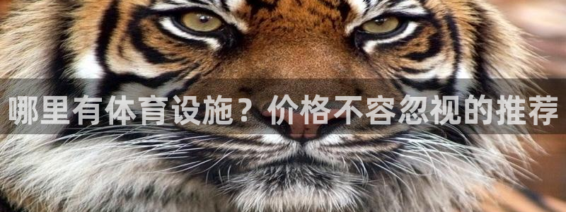 意昂体育4平台APP：哪里有体育设施？价格不容忽视的