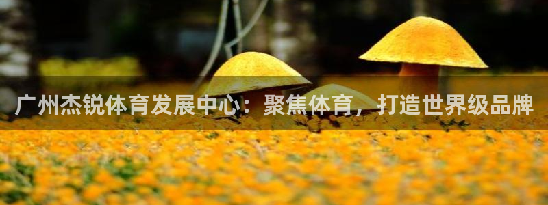 意昂4神州：广州杰锐体育发展中心：聚焦体育，打造世界
