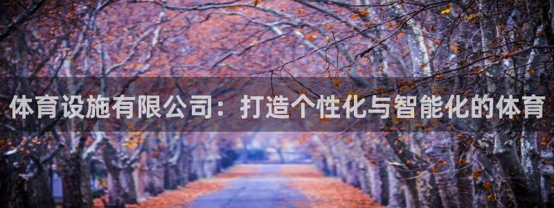 意昂4娱乐：体育设施有限公司：打造个性化与智能化的体