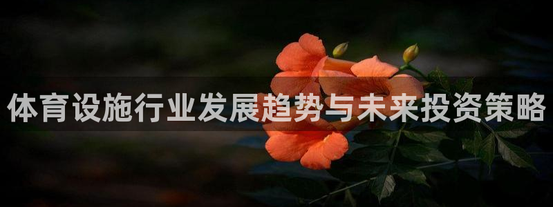 意昂4官方：体育设施行业发展趋势与未来投资策略
