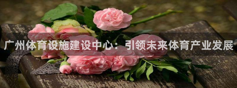 意昂体育4招商：广州体育设施建设中心：引领未来体育产业发展