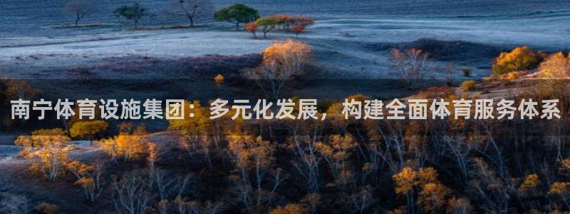 意昂体育4娱乐：南宁体育设施集团：多元化发展，构建全面体育服