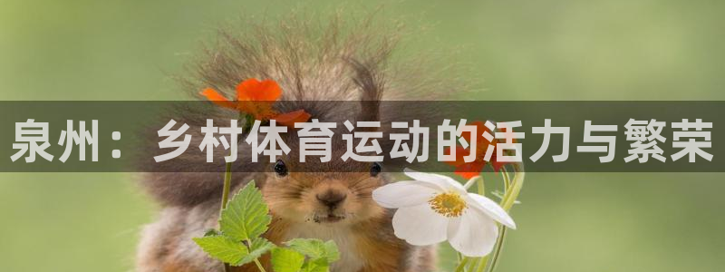 意昂4集团官网首页：泉州：乡村体育运动的活力与繁荣