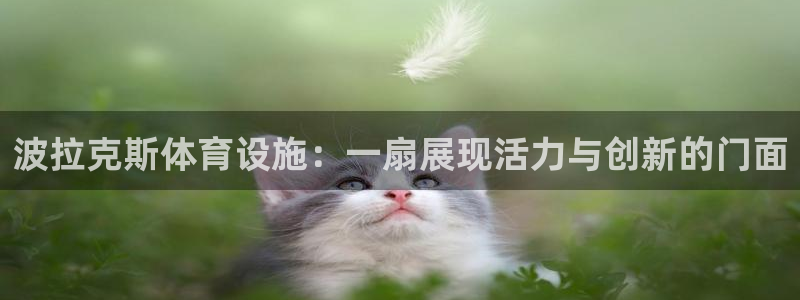 意昂体育4平台注册：波拉克斯体育设施：一扇展现活力与创新的门