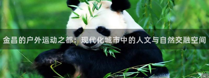 意昂体育4注册：金昌的户外运动之都：现代化城市中的人