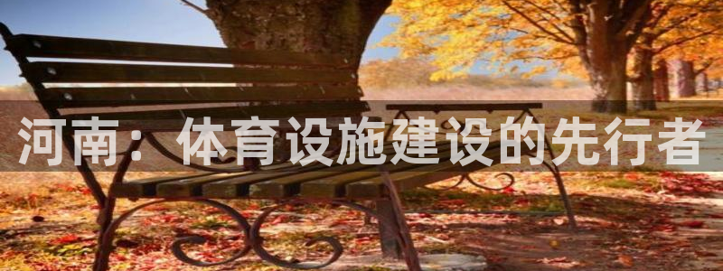 意昂4集团：河南：体育设施建设的先行者