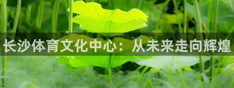 意昂体育4联系电话：长沙体育文化中心：从未来走向辉煌