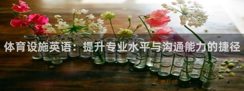 意昂体育4官方客服电话：体育设施英语：提升专业水平与