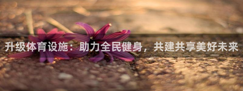 意昂体育4招商电话号码查询是多少：升级体育设施：助力