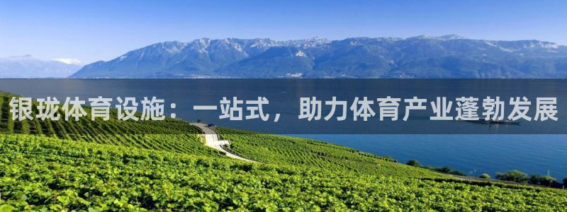 意昂体育4平台注册流程图：银珑体育设施：一站式，助力